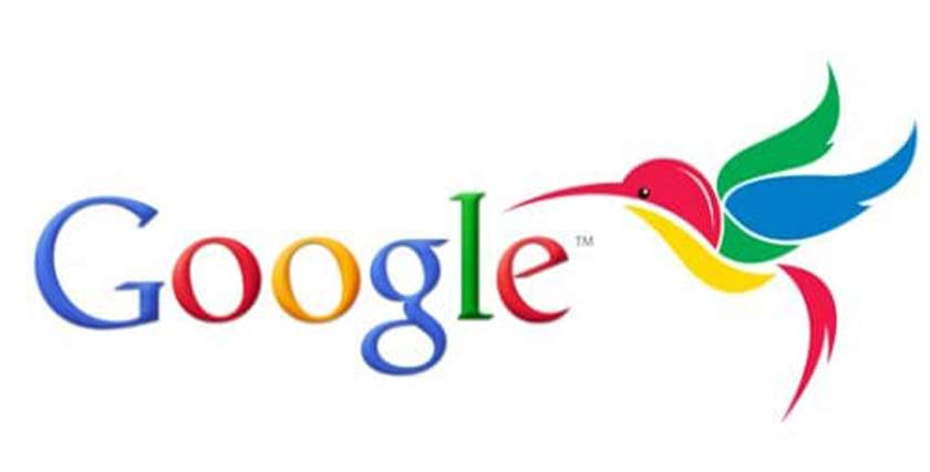 google Hummingbird